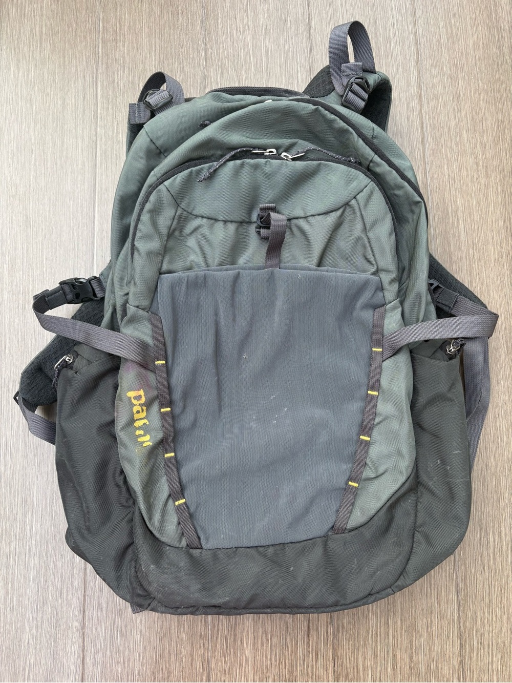 Patagonia Gray Backpack
